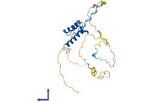AlphaFold protein structure predicition of Human Recombinant HOXB4 Protein, UniprotID P17483