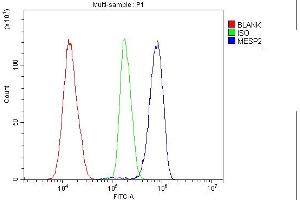 Flow Cytometry analysis of K562 cells using anti-Mesp2 antibody (ABIN7599353). (Mesp2 antibody  (AA 1-397))