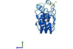 Protein Structure (PS) image for Protein Phosphatase 1, Regulatory Subunit 27 (PPP1R27) (AA 1-154) protein (His tag) (ABIN7550915)