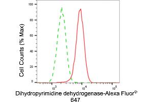 Flow cytometric analysis of dihydropyrimidine dehydrogenase expression in H9c2 cells using dihydropyrimidine dehydrogenase antibody (ABIN7798341), 1:2,000).