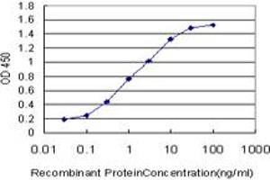 Detection limit for recombinant GST tagged TXN is approximately 0. (TXN antibody  (AA 1-105))