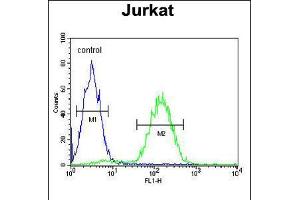 Flow cytometric analysis of Jurkat cells (right histogram) compared to a negative control cell (left histogram). (MAGEA3 antibody  (C-Term))