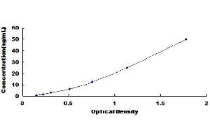 Typical Standard Curve (ADCY1 ELISA Kit)