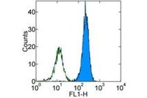 Image no. 1 for anti-Integrin alpha M (ITGAM) antibody (FITC) (ABIN474260) (CD11b antibody  (FITC))