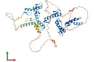 AlphaFold protein structure predicition of Human Recombinant ZNF697 Protein, UniprotID Q5TEC3 (ZNF697 Protein (AA 1-545) (His tag))