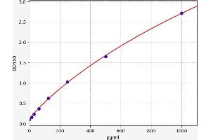 Typical standard curve (SNCA ELISA Kit)