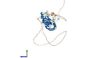 AlphaFold protein structure predicition of Mouse Recombinant Leng9 Protein, UniprotID Q8BTN6 (LENG9 Protein (AA 1-485) (His tag))