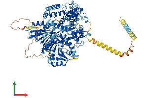 AlphaFold protein structure predicition of Mouse Recombinant Dhx40 Protein, UniprotID Q6PE54 (DEAH (Asp-Glu-Ala-His) Box Polypeptide 40 (DHX40) (AA 1-779) protein (His tag))