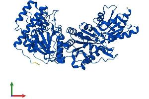 Protein Structure (PS) image for Transketolase (TKT) (AA 1-623) protein (His tag) (ABIN7563211)