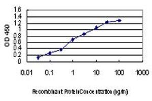 ELISA image for anti-P21-Activated Kinase 1 (PAK1) (AA 191-280) antibody (ABIN598852) (PAK1 antibody  (AA 191-280))