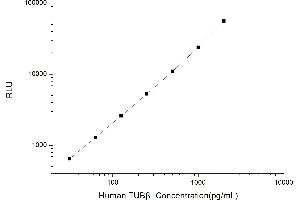 Typical standard curve (TUBB CLIA Kit)