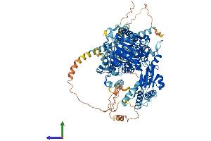 AlphaFold protein structure predicition of Human Recombinant DDX11L8 Protein, UniprotID A8MPP1 (DDX11L8 Protein (AA 1-907) (His tag))