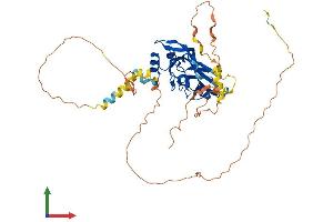 AlphaFold protein structure predicition of Mouse Recombinant Tbx6 Protein, UniprotID P70327 (T-Box 6 Protein (TBX6) (AA 1-436) (His tag))