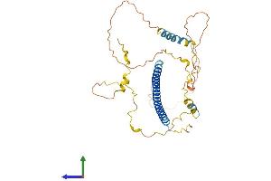 AlphaFold protein structure predicition of Mouse Recombinant Jun Protein, UniprotID P05627 (C-JUN Protein (AA 1-334) (His tag))