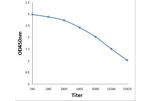 Antigen: 0. (BAAT antibody  (AA 101-200))