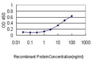 Detection limit for recombinant GST tagged CRYAB is approximately 1ng/ml as a capture antibody. (CRYAB antibody  (AA 1-175))