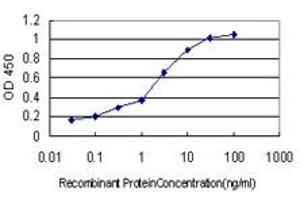 Detection limit for recombinant GST tagged POU6F1 is approximately 0. (POU6F1 antibody  (AA 193-301))