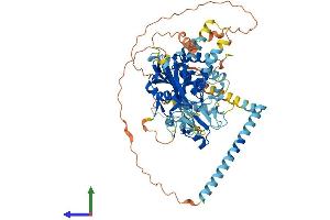 AlphaFold protein structure predicition of Human Recombinant USP49 Protein, UniprotID Q70CQ1 (USP49 Protein (AA 1-688) (His tag))