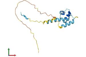 AlphaFold protein structure predicition of Human Recombinant EFCAB8 Protein, UniprotID A8MWE9