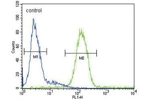 Flow Cytometry (FACS) image for anti-Ceruloplasmin (Ferroxidase) (CP) antibody (ABIN3003153)