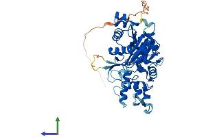 AlphaFold protein structure predicition of Human Recombinant ACTL9 Protein, UniprotID Q8TC94 (ACTL9 Protein (AA 1-416) (His tag))
