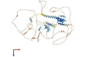 AlphaFold protein structure predicition of Human Recombinant CKAP2L Protein, UniprotID Q8IYA6