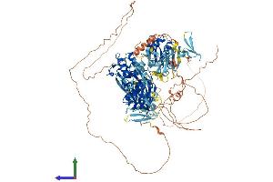 Protein Structure (PS) image for E3 ubiquitin-protein ligase NEDD4-like (NEDD4L) (AA 1-1004) protein (His tag) (ABIN7564557)