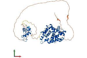 Protein Structure (PS) image for Estrogen-Related Receptor gamma (ESRRG) (AA 1-458) protein (His tag) (ABIN7547396)
