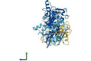 AlphaFold protein structure predicition of Mouse Recombinant Capn13 Protein, UniprotID Q3UW68
