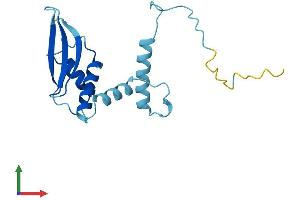 AlphaFold protein structure predicition of Human Recombinant CEP19 Protein, UniprotID Q96LK0 (C3orf34 Protein (AA 1-163) (His tag))
