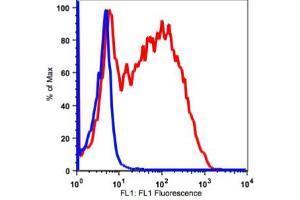 Image no. 2 for anti-Interleukin 2 Receptor, alpha (IL2RA) antibody (ABIN2704224) (CD25 antibody)