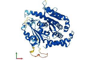 Protein Structure (PS) image for Tubulin, delta 1 (TUBD1) (AA 1-453) protein (His tag) (ABIN7544295)