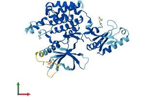 Protein Structure (PS) image for U2AF Homology Motif (UHM) Kinase 1 (UHMK1) (AA 1-419) protein (His tag) (ABIN7545034)