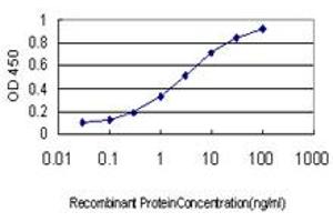 Detection limit for recombinant GST tagged IL1F9 is approximately 0. (IL1F9 antibody  (AA 1-110))
