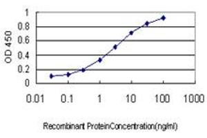 Detection limit for recombinant GST tagged IL1F9 is approximately 0.