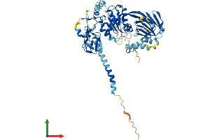 AlphaFold protein structure predicition of Mouse Recombinant Dgke Protein, UniprotID Q9R1C6