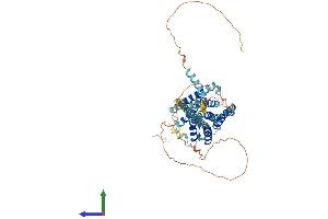 AlphaFold protein structure predicition of Mouse Recombinant Gpr101 Protein, UniprotID Q80T62