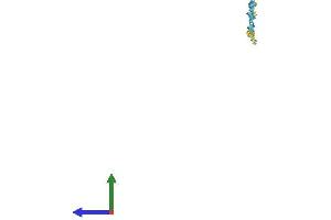 Protein Structure (PS) image for Small Proline Rich Protein 1B (SPRR1B) (AA 1-89) protein (Fc Tag) (ABIN7546203)