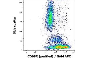 Flow cytometry surface staining pattern of human peripheral whole blood stained using anti-human CD99R (MEM-131) purified antibody (concentration in sample 0,6 μg/mL, GAM APC). (CD99 antibody)