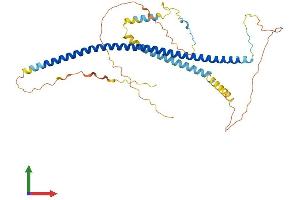 AlphaFold protein structure predicition of Human Recombinant CAVIN1 Protein, UniprotID Q6NZI2 (PTRF Protein (AA 1-390) (His tag))