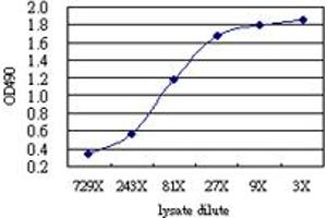 BLK (Human) Matched Antibody Pair
