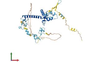 Protein Structure (PS) image for Makorin Ring Finger Protein 2 (MKRN2) (AA 1-416) protein (His tag) (ABIN7561448)