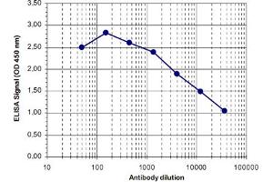 ELISA was performed using a serial dilution of MBD4 polyclonal antibody  in antigen coated wells.