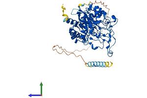 AlphaFold protein structure predicition of Human Recombinant MANEA Protein, UniprotID Q5SRI9 (MANEA Protein (AA 1-462) (His tag))