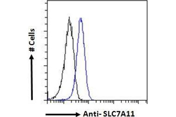 SLC7A11 antibody  (Internal Region)