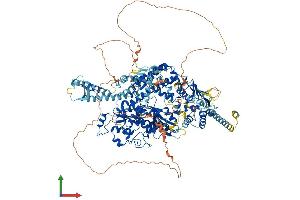 AlphaFold protein structure predicition of Human Recombinant MSH6 Protein, UniprotID P52701 (MSH6 Protein (AA 1-1360) (His tag))