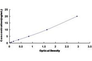 Typical standard curve (CHRNA3 ELISA Kit)