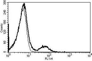 A typical staining pattern with the B-E16 monoclonal antibody of lymphocytes (CD16 antibody)