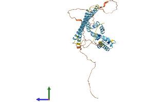 Protein Structure (PS) image for Activity-Regulated Cytoskeleton-Associated Protein (Arc) (AA 1-396) protein (His tag) (ABIN7556299)