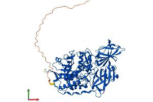 AlphaFold protein structure predicition of Human Recombinant GLB1L3 Protein, UniprotID Q8NCI6 (GLB1L3 Protein (AA 1-653) (His tag))